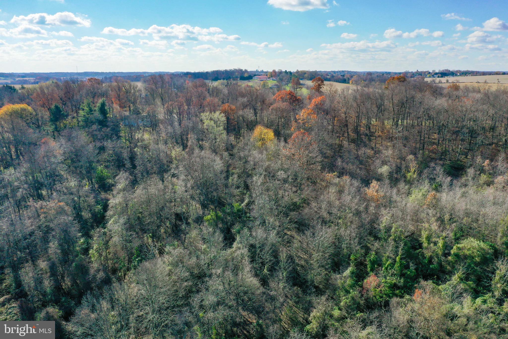 Lot 6 Hain Road New Freedom, PA 17349 - Photo 3 of 29 Gallery Image 3