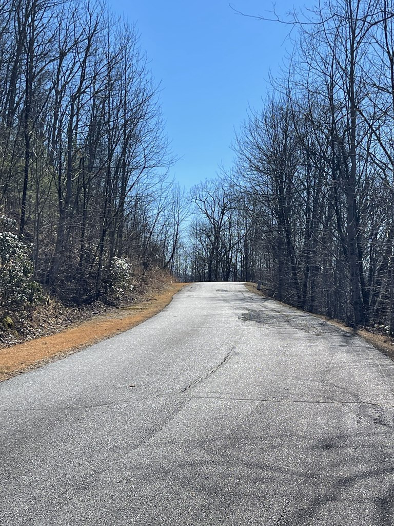 Lot 29 Ash Branch Road Hayesville, NC 28904 - Photo 5 of 5