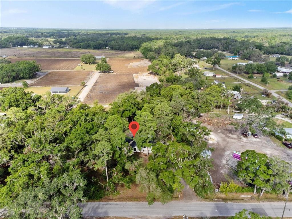 6005 Ike Smith Road Plant City, FL 33565 - Photo 36 of 41