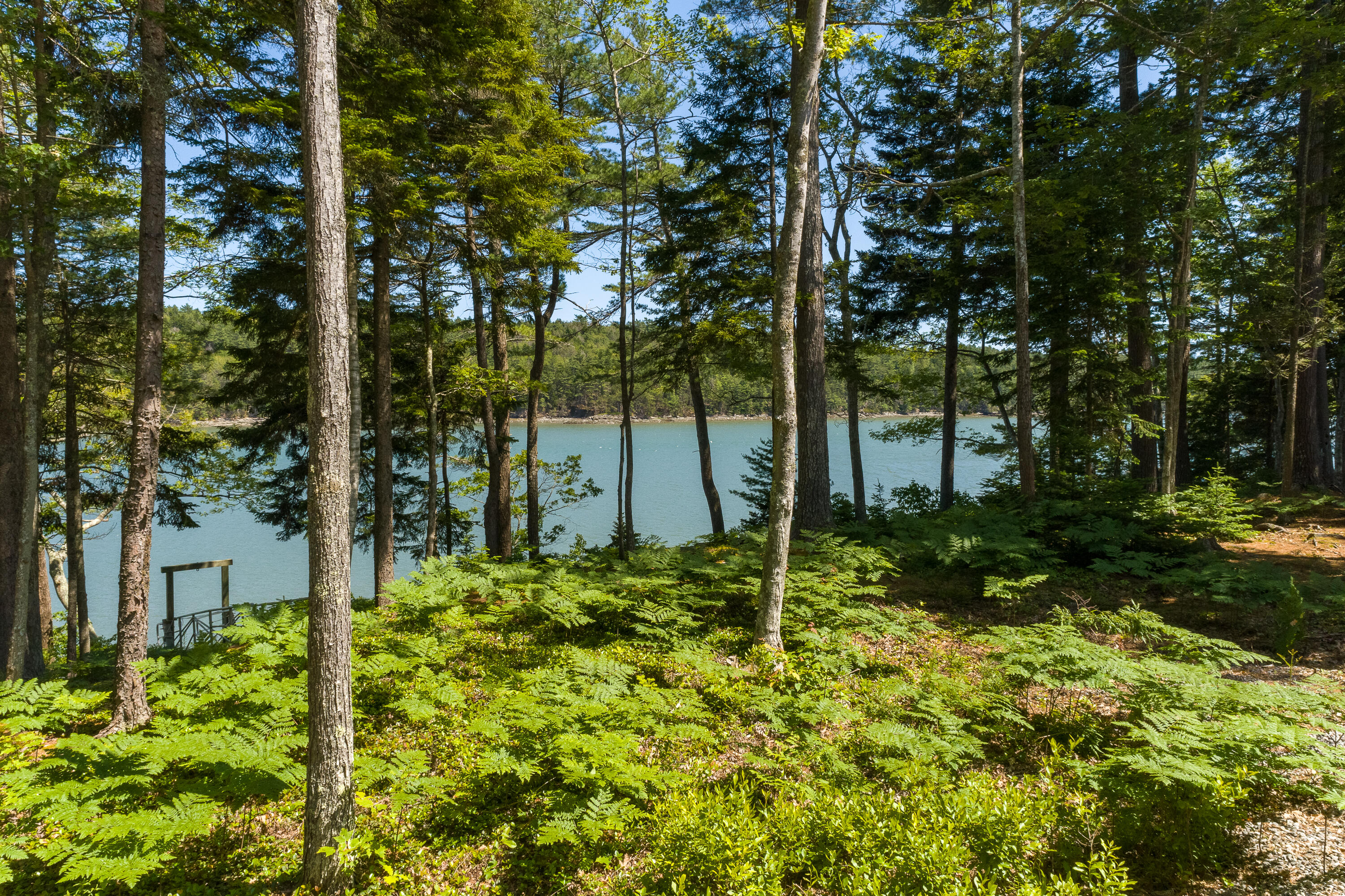 8 Hannahs Cove Road Harpswell, ME 04079 - Photo 7 of 50 (92)_8 Hannahs Cove Rd. Harpswell(MAPS)