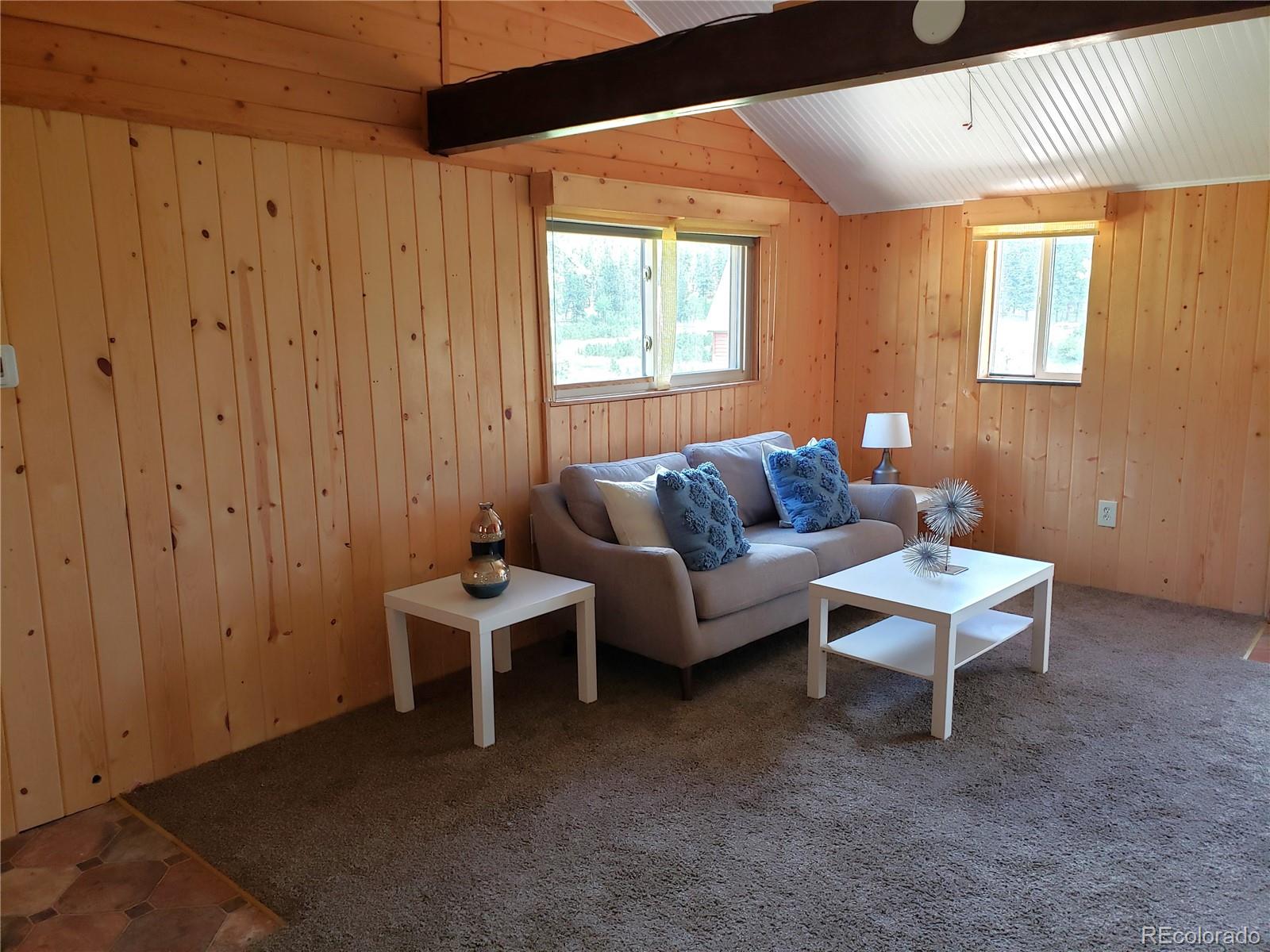 84 Neal Street Bailey, CO 80421 - Photo 4 of 15