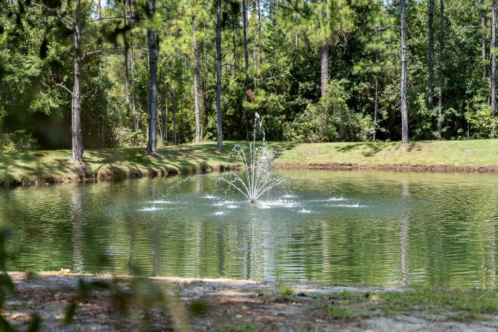 Lot 53 Hibernate Way Freeport, FL 32439 - Photo 3 of 12 64_1
