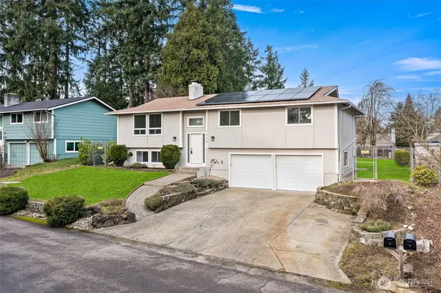 a view of a house with a yard and large tree