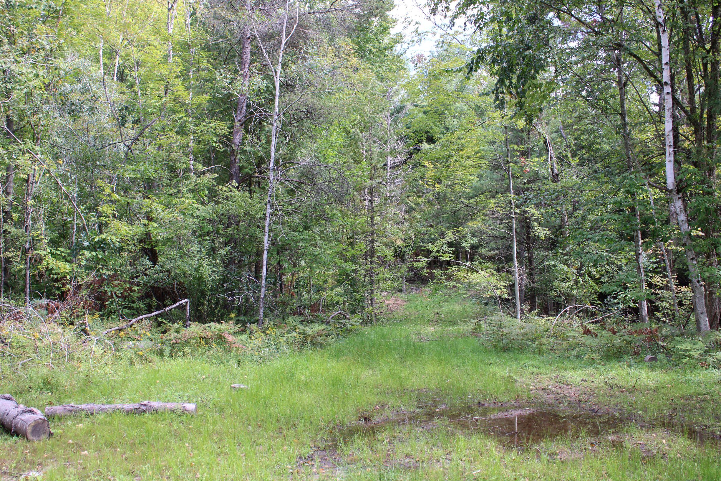 0 8 8 Mile Road Reed City, MI 49677 - Photo 12 of 26 .