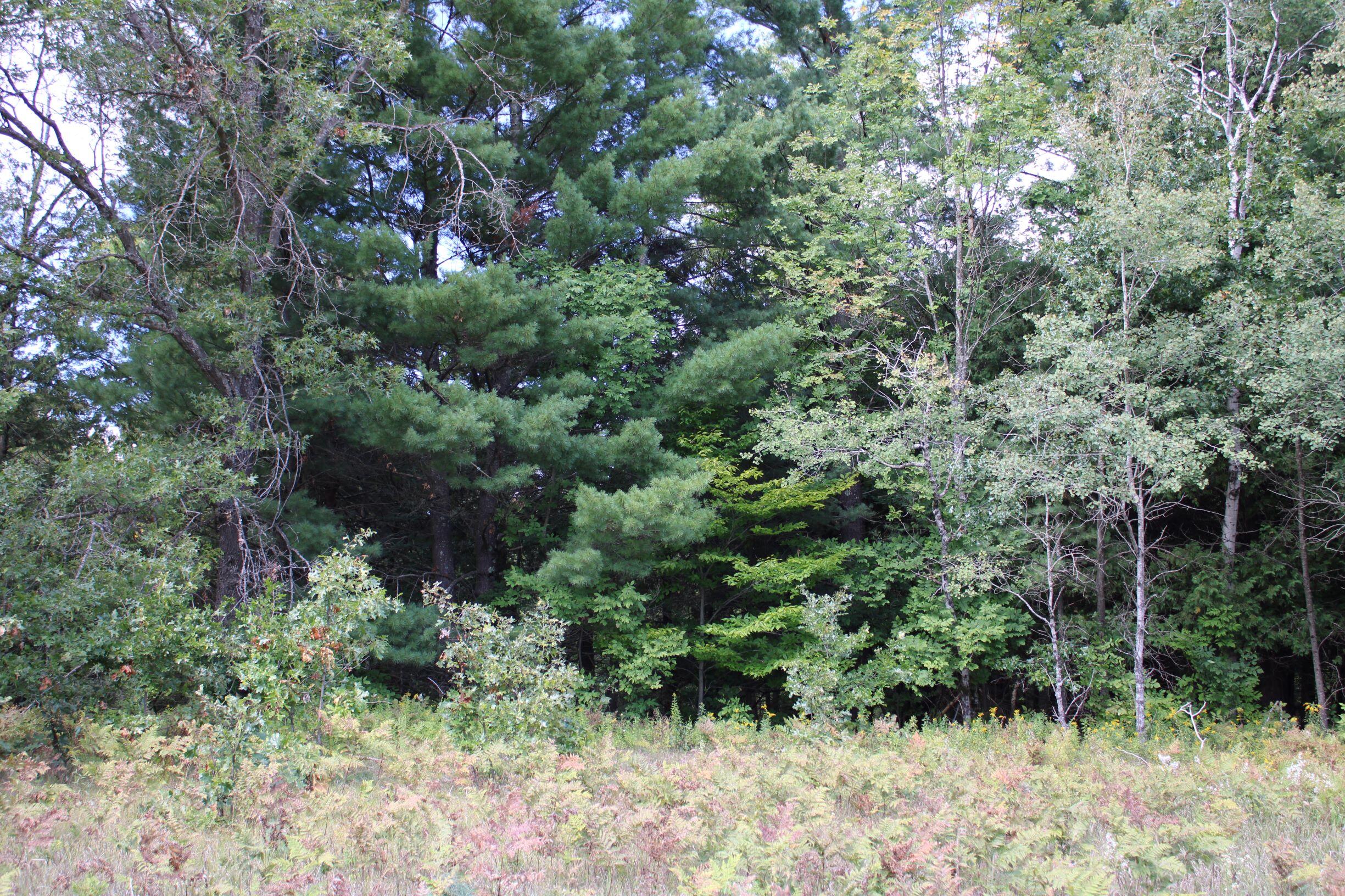 0 8 8 Mile Road Reed City, MI 49677 - Photo 17 of 26 .