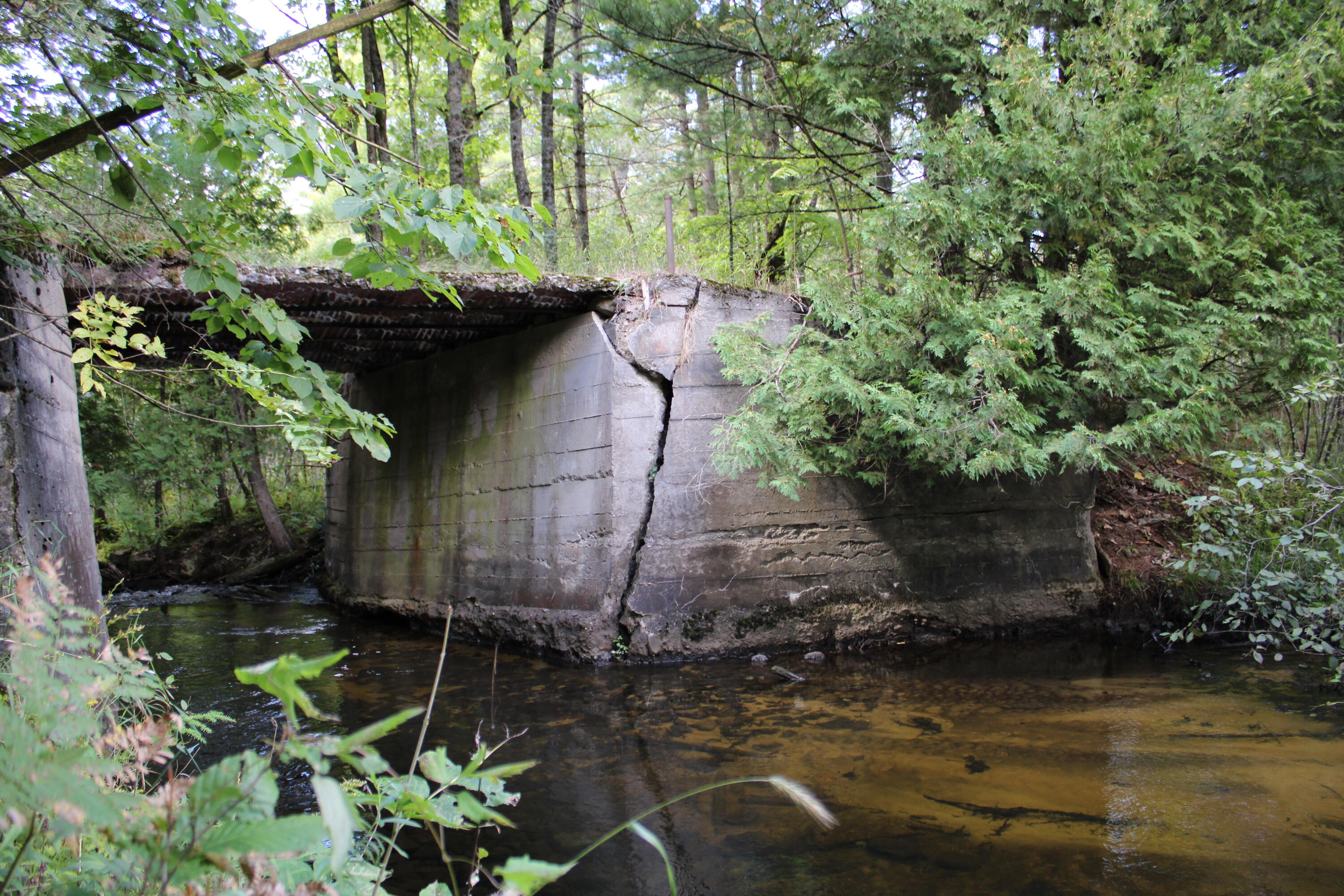 0 8 8 Mile Road Reed City, MI 49677 - Photo 5 of 26 .