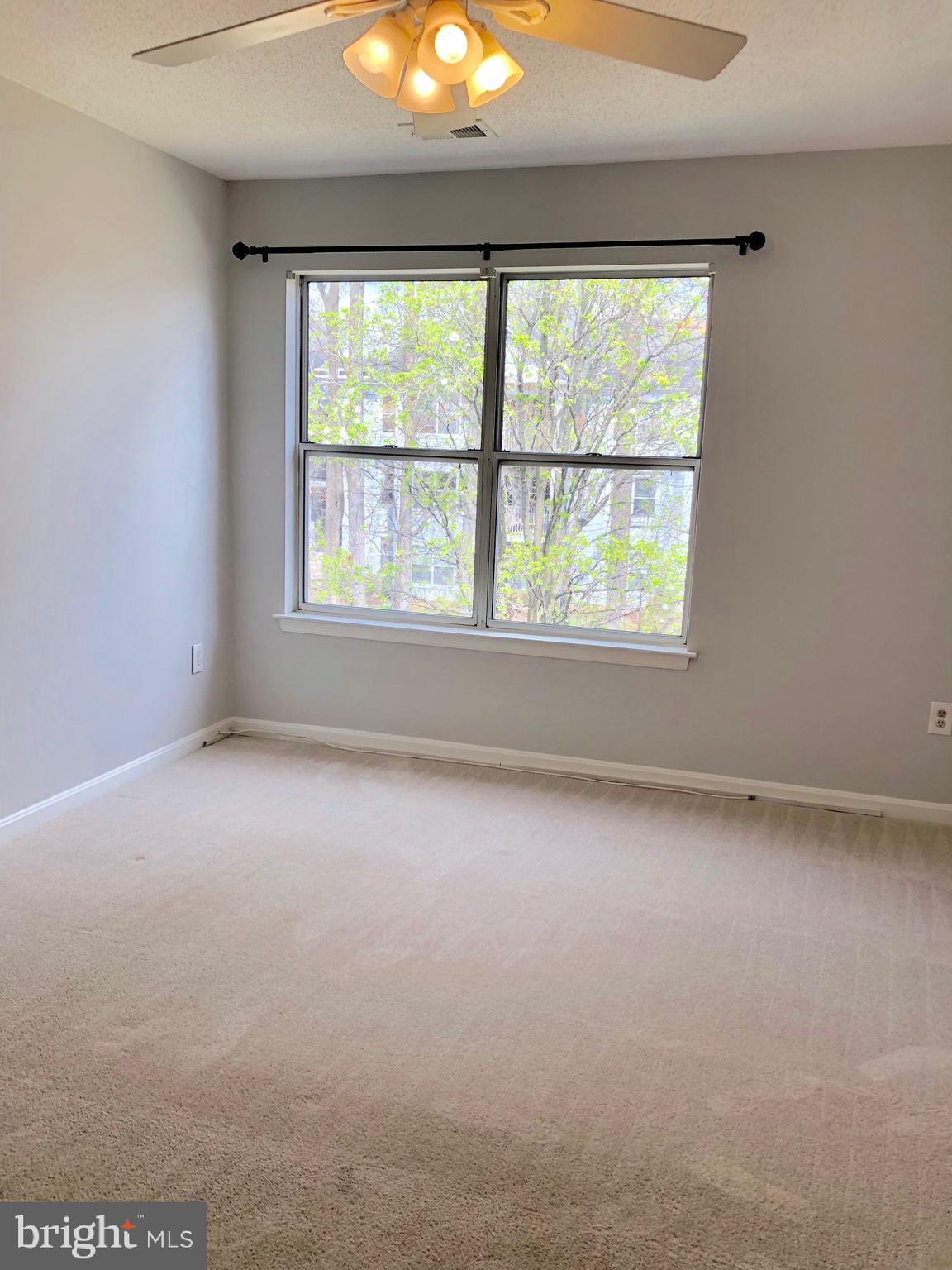 2717 Snowbird Terrace, Unit 1227 Silver Spring, MD 20906 - Photo 6 of 13 Master Bedroom