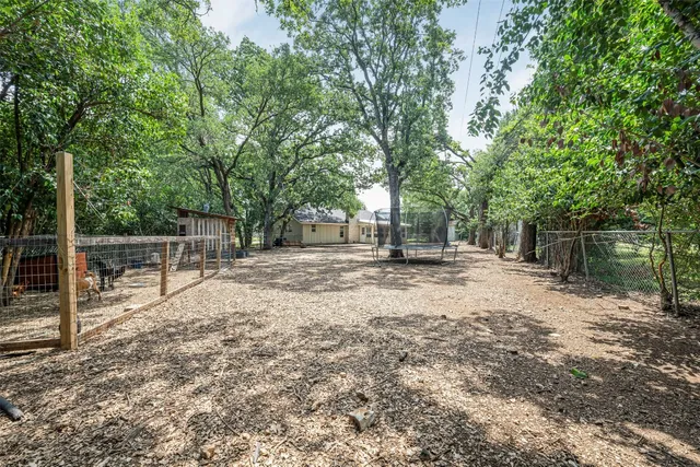 a backyard of a house with lots of plants and large tree