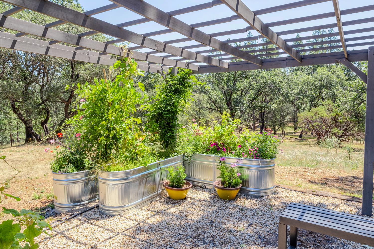27689 Table Meadow Road Auburn, CA 95602 - Photo 65 of 72 a view of a backyard with plants and plants