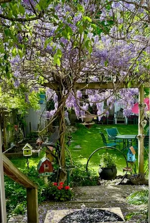 a view of a park with plants and trees