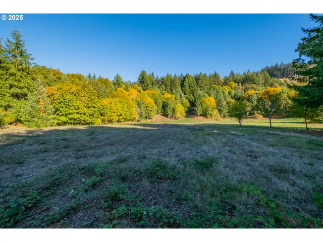 a view of yard with outdoor seating