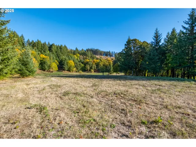 a view of a yard with a tree