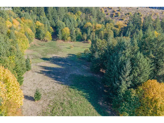 a view of a yard with a tree