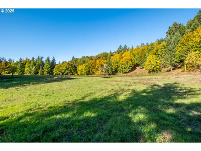 a view of a yard with an ocean