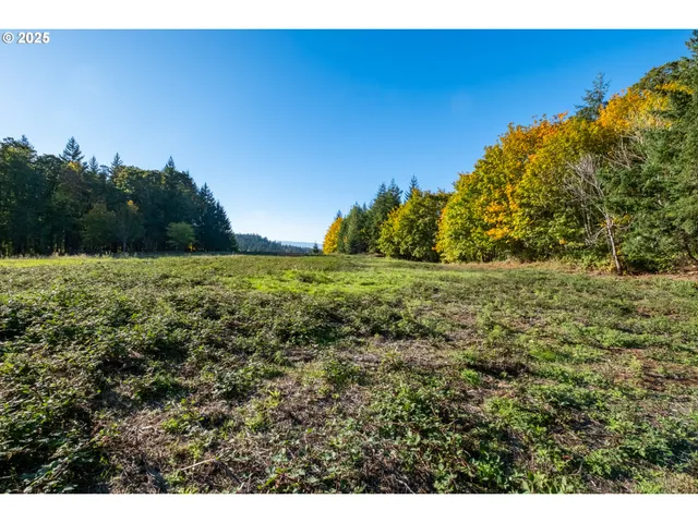 a view of a field with an ocean