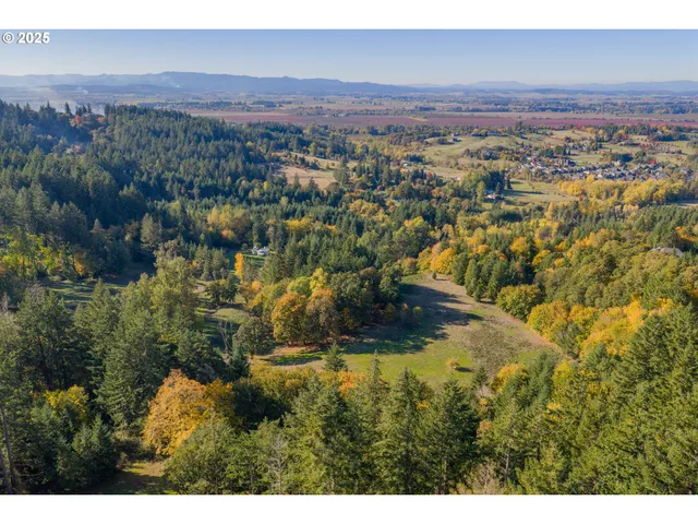 a view of a city with mountains in the background