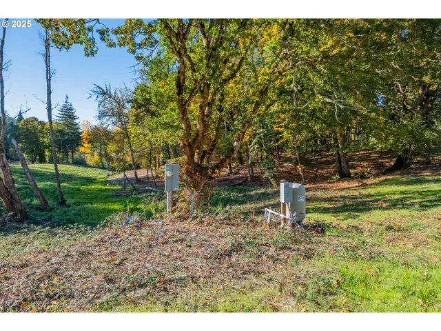 a backyard of a house with lots of green space