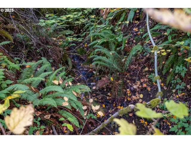a view of a lake with a tree