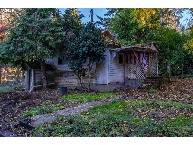 a view of a yard with plants and large trees