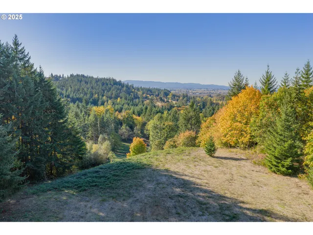 a view of a yard with a trees