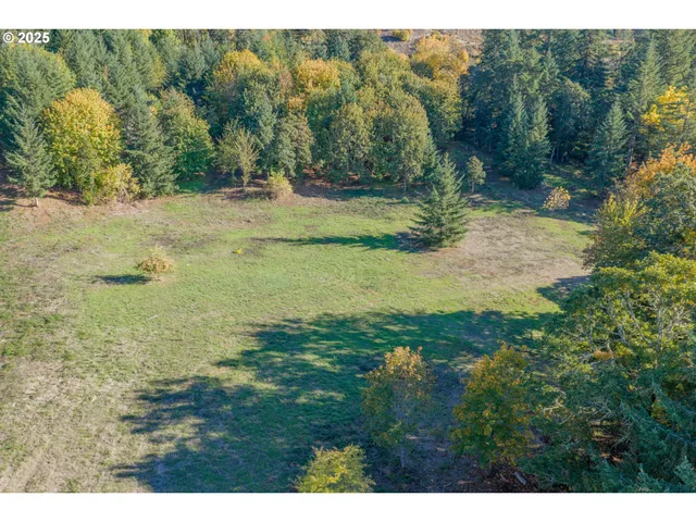 a view of a yard with an trees
