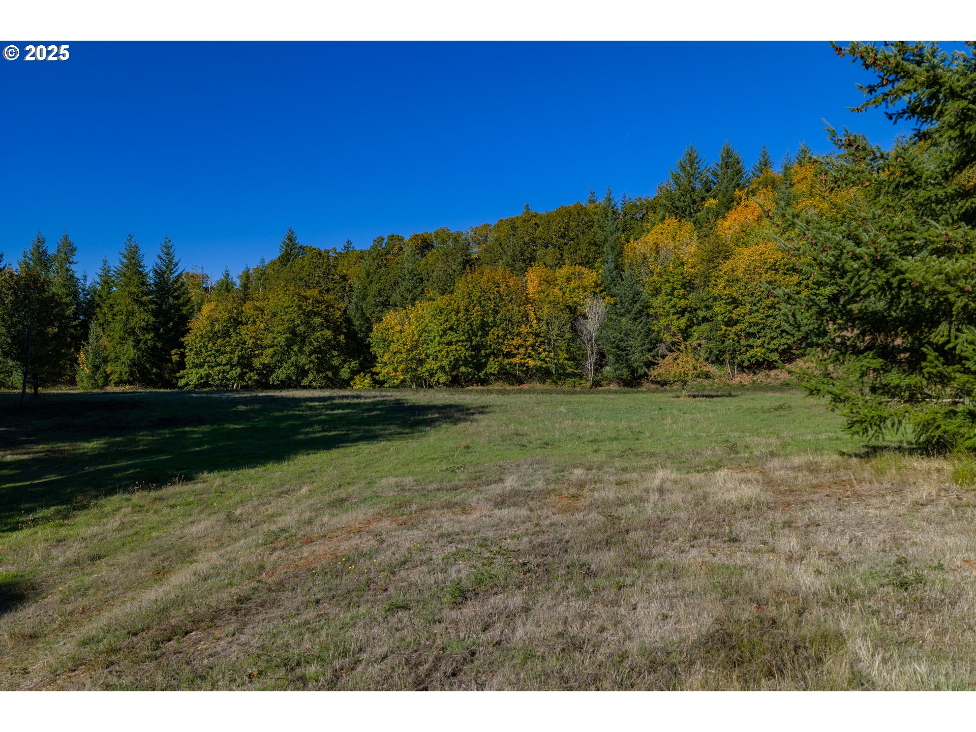 4204 Riverdale Road South Salem, OR 97302 - Photo 8 of 38