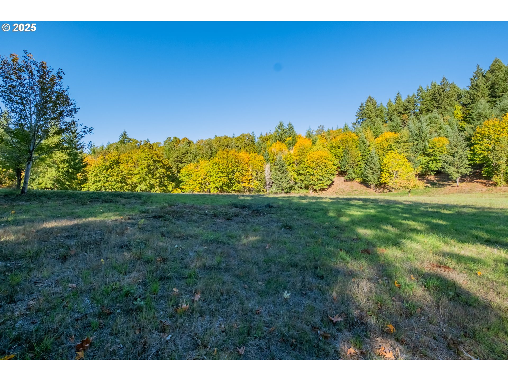 4204 Riverdale Road South Salem, OR 97302 - Photo 10 of 38