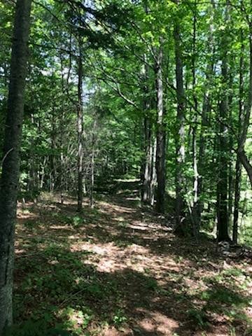 10723 Beltz Road Atlanta, MI 49709 - Photo 19 of 26 Gallery Image 19