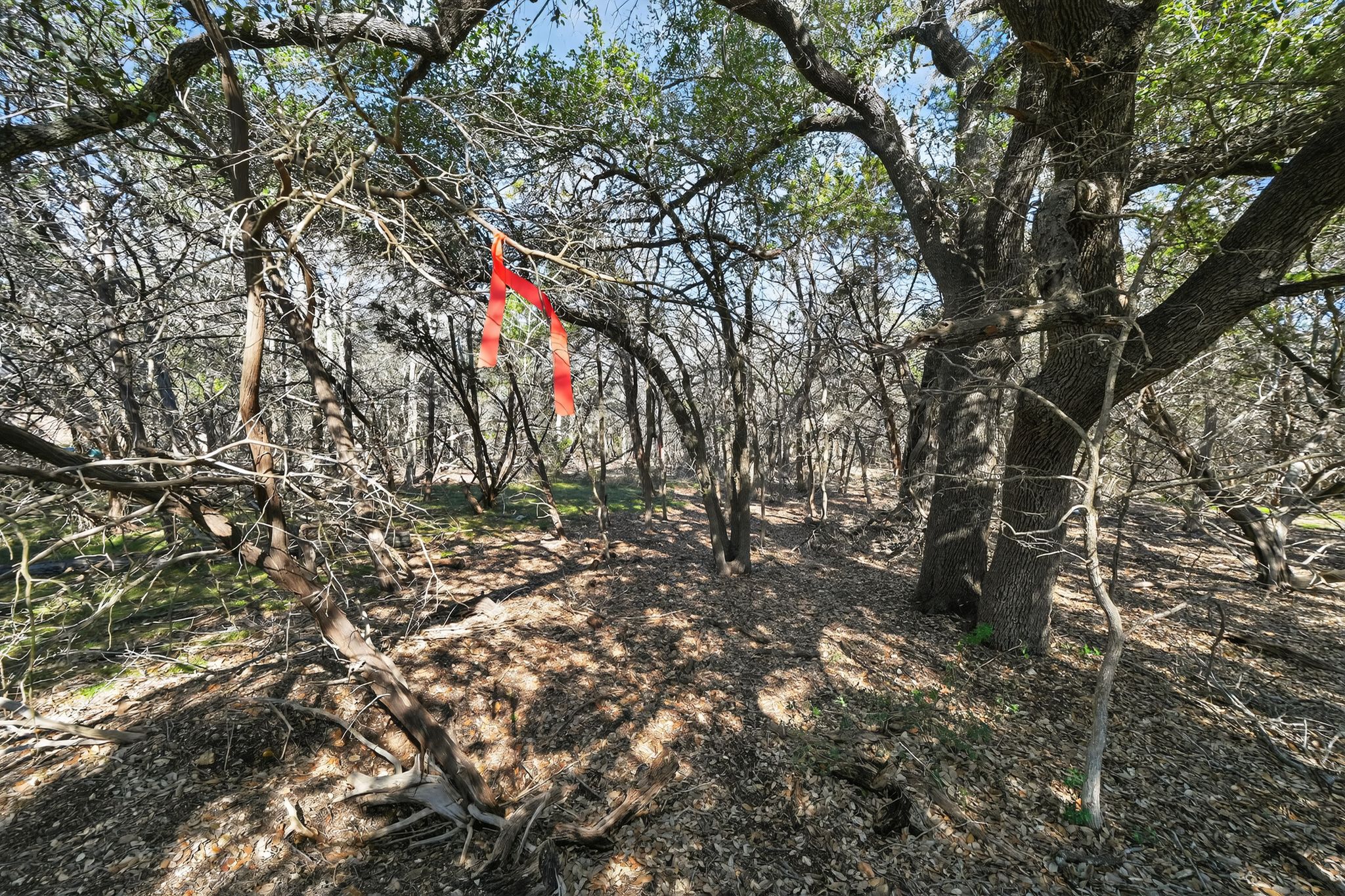 0 Royal Street Salado, TX 76571 - Photo 11 of 33 a backyard of a house with lots of green space
