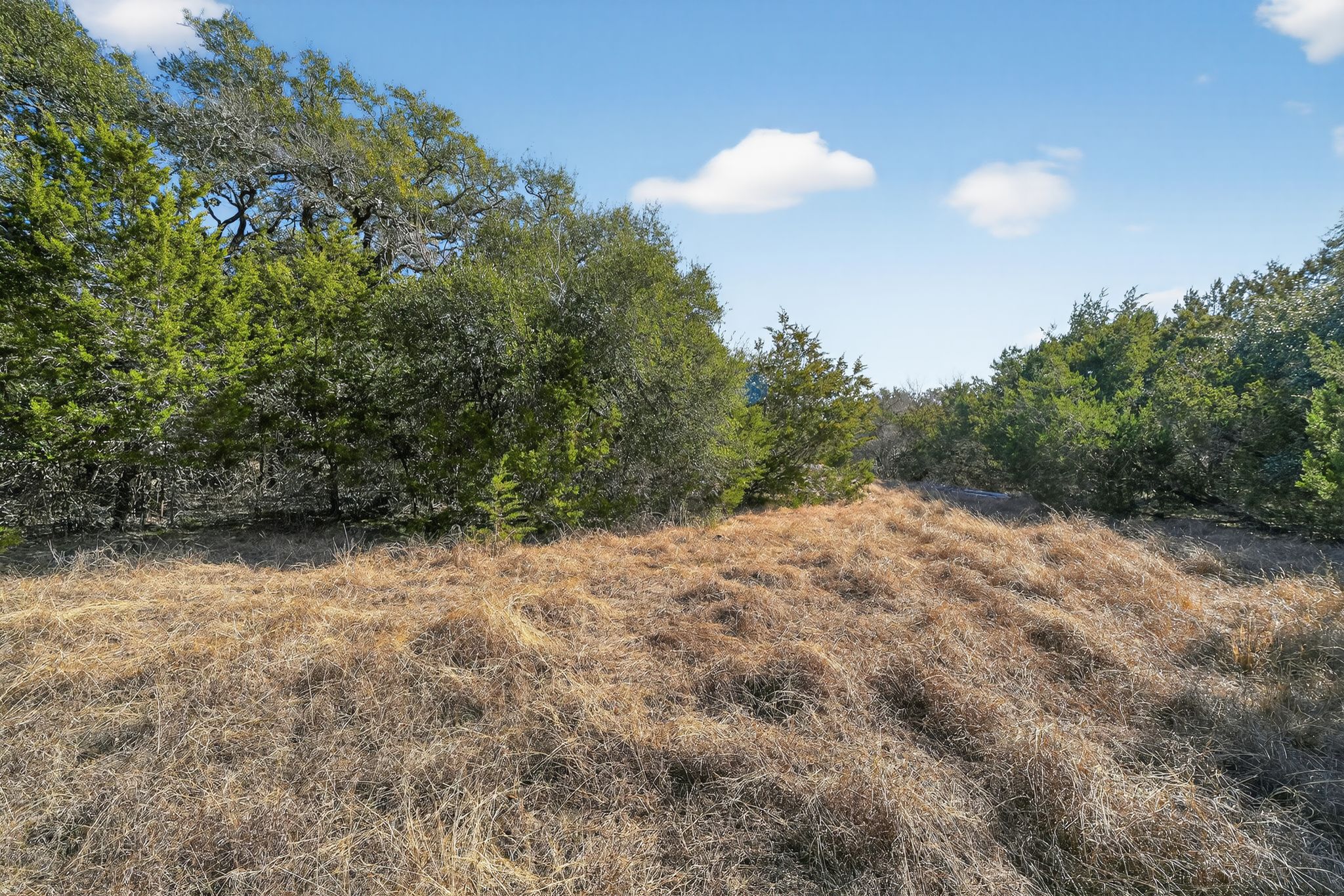 0 Royal Street Salado, TX 76571 - Photo 12 of 33 a view of a yard with a tree
