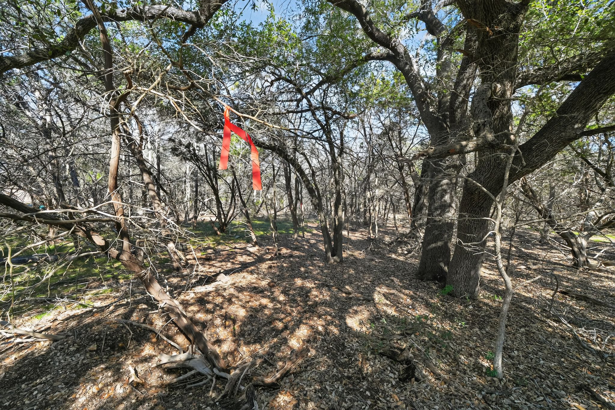0 Royal Street Salado, TX 76571 - Photo 13 of 33 a view of yard