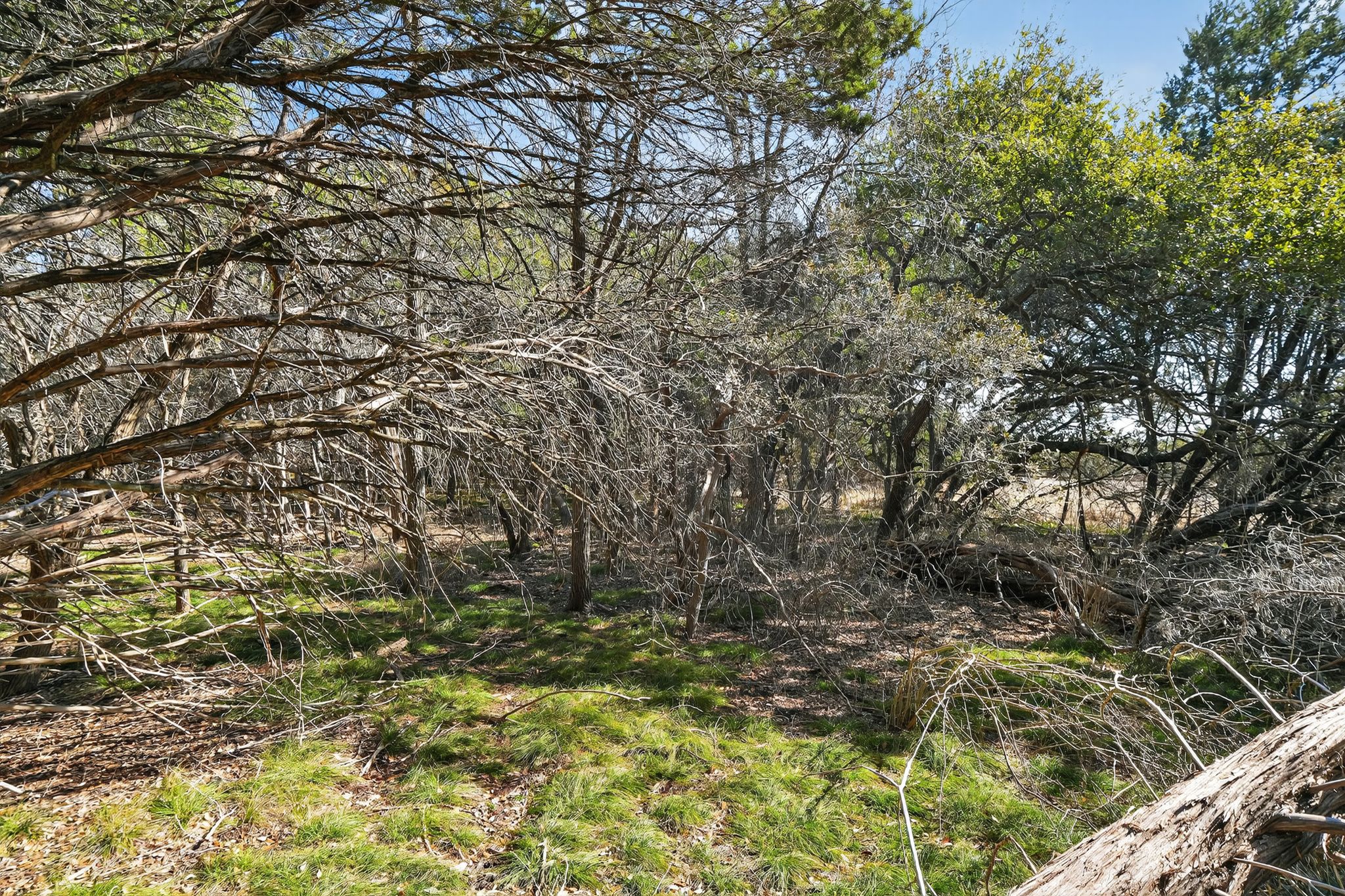 0 Royal Street Salado, TX 76571 - Photo 14 of 33 a view of a yard