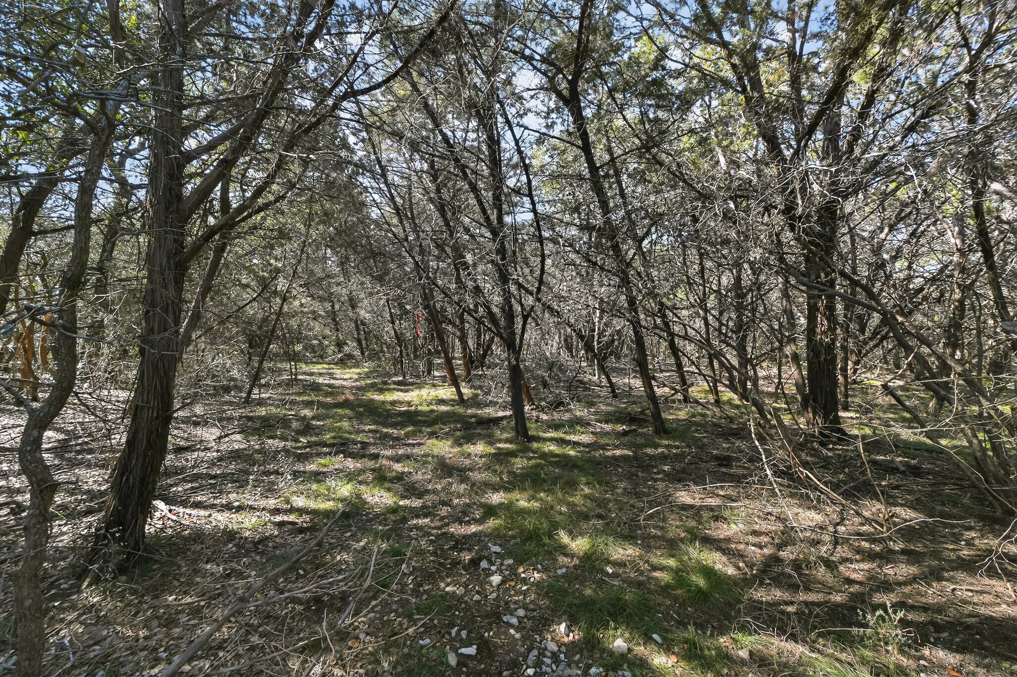 0 Royal Street Salado, TX 76571 - Photo 15 of 33 a view of outdoor space and a yard