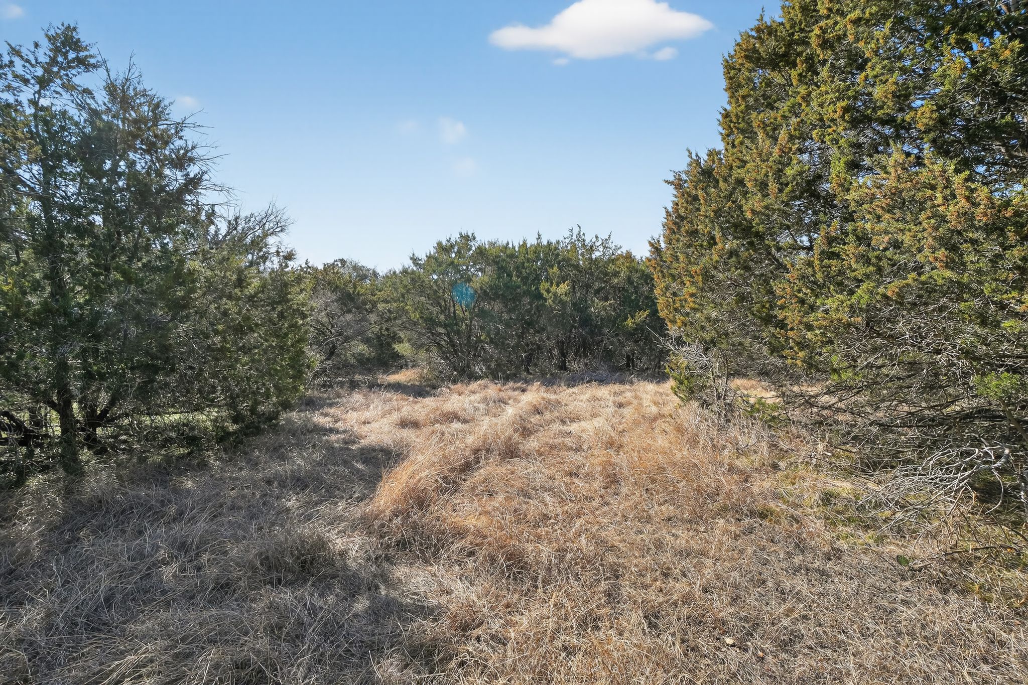 0 Royal Street Salado, TX 76571 - Photo 16 of 33 a view of a dry yard