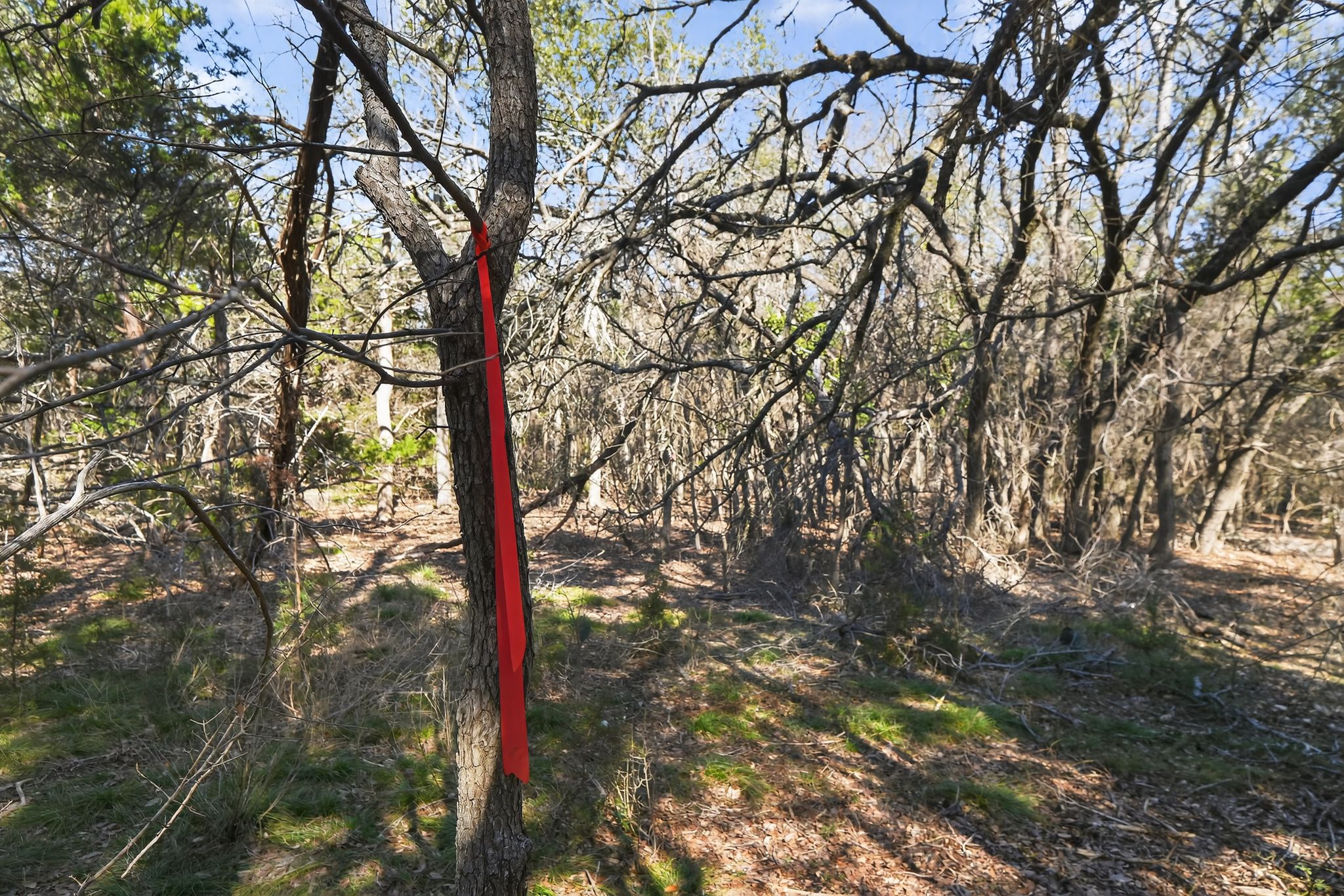 0 Royal Street Salado, TX 76571 - Photo 2 of 33 a backyard of a house