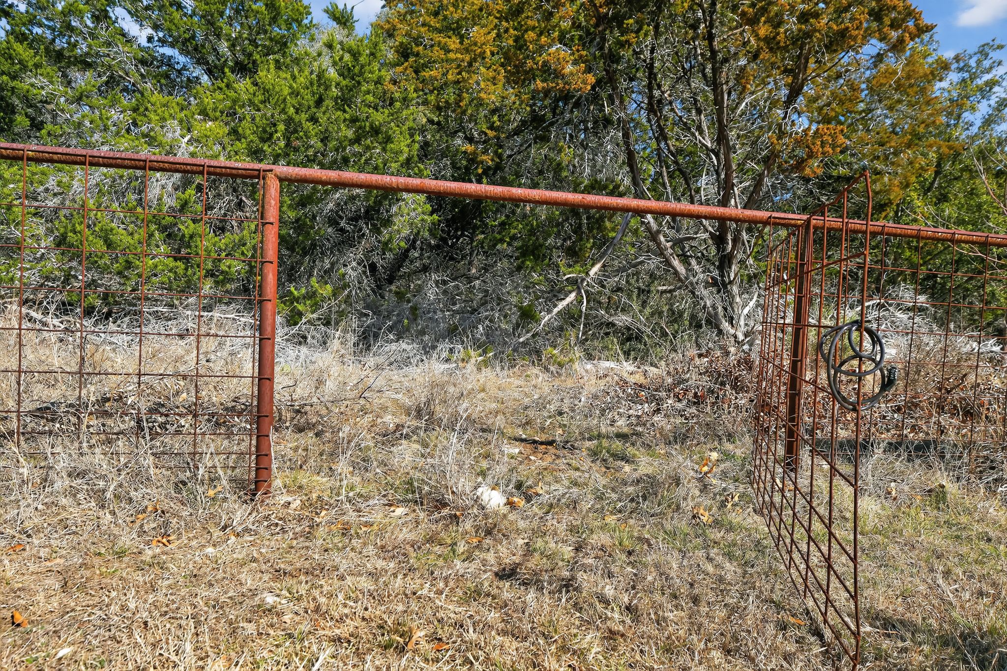 0 Royal Street Salado, TX 76571 - Photo 3 of 33 a view of a yard from a balcony