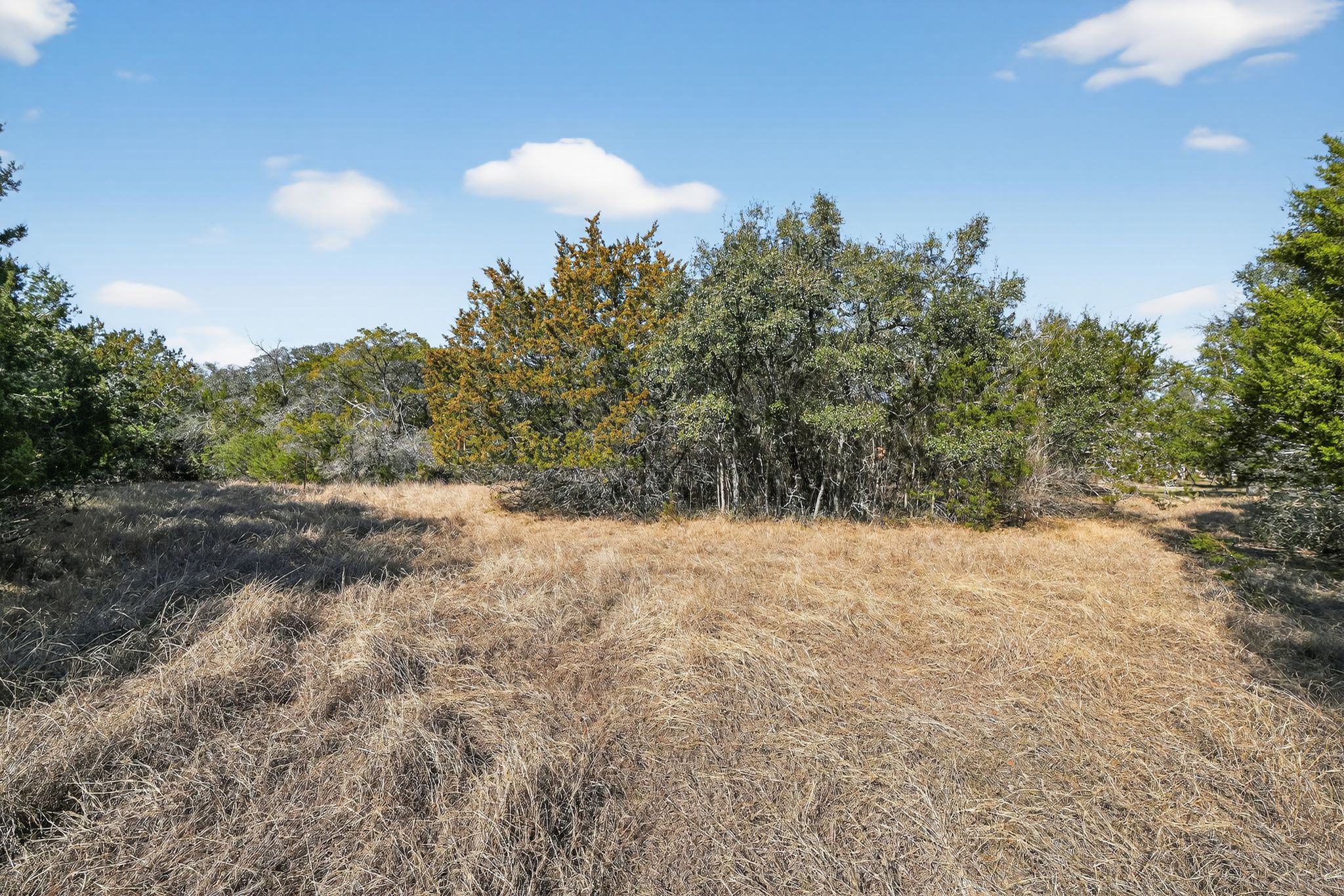 0 Royal Street Salado, TX 76571 - Photo 8 of 33 a view of a yard and mountain