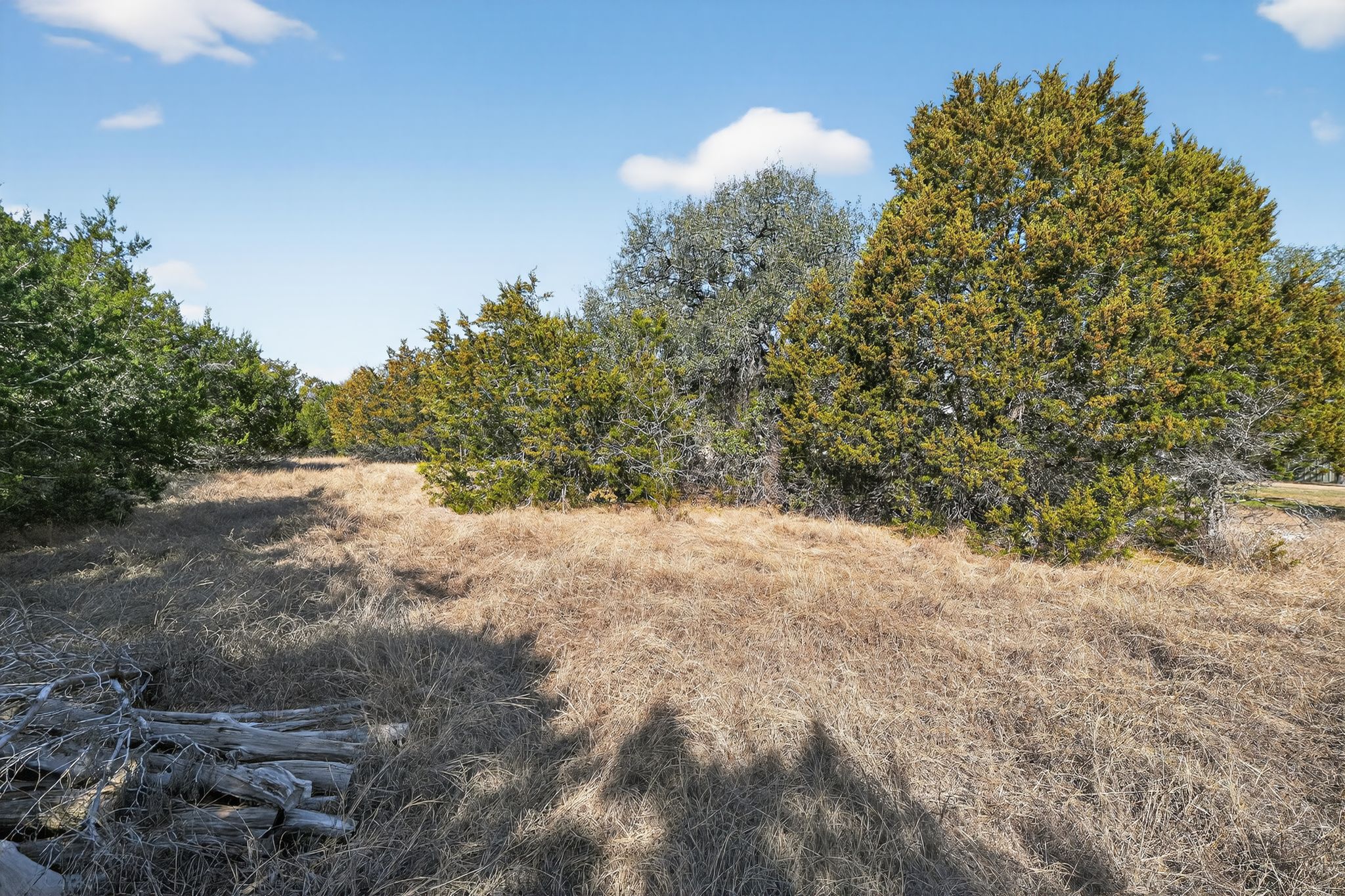 0 Royal Street Salado, TX 76571 - Photo 10 of 33 a view of a yard with a tree