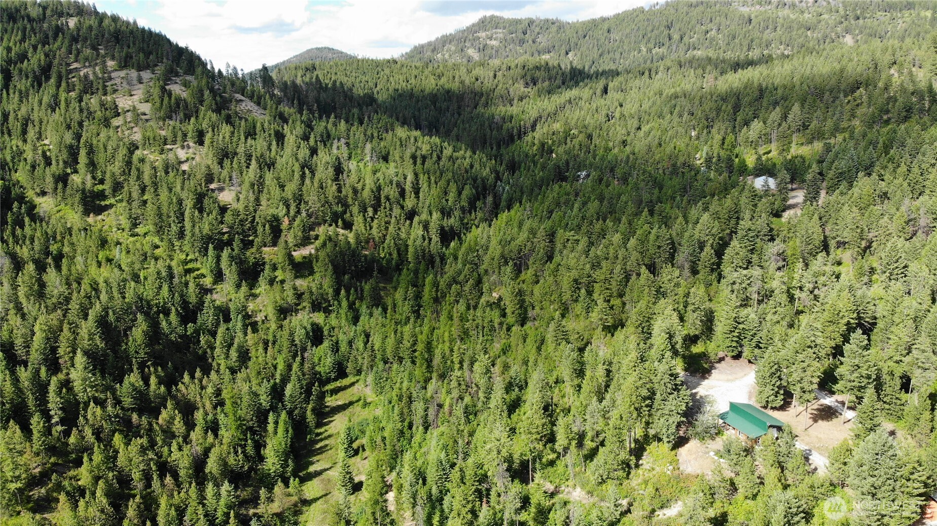 1733 Old CC Road Addy, WA 99101 - Photo 11 of 38 a view of a lush green forest with a lush green forest