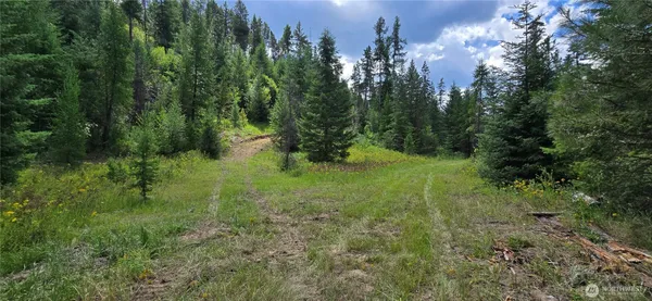 a view of a green field with lots of bushes