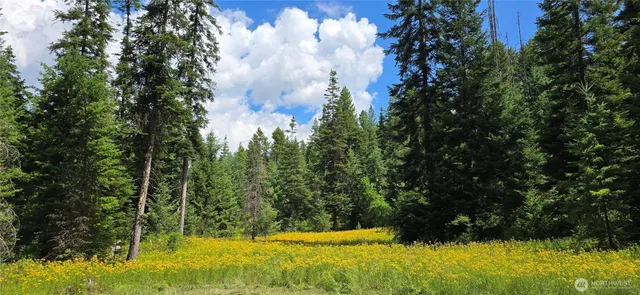 $230,000 | 1733 Old CC Road, Addy, WA 99101