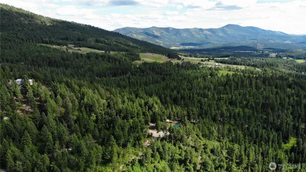 a view of a lush green hillside and a mountain