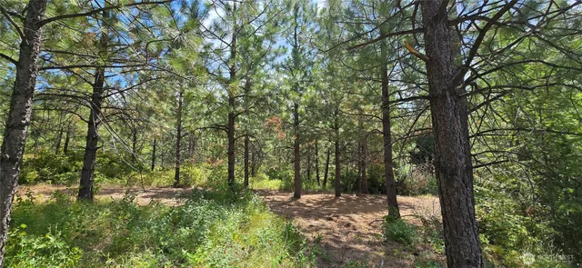 $230,000 | 1733 Old CC Road, Addy, WA 99101