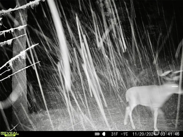 $230,000 | 1733 Old CC Road, Addy, WA 99101