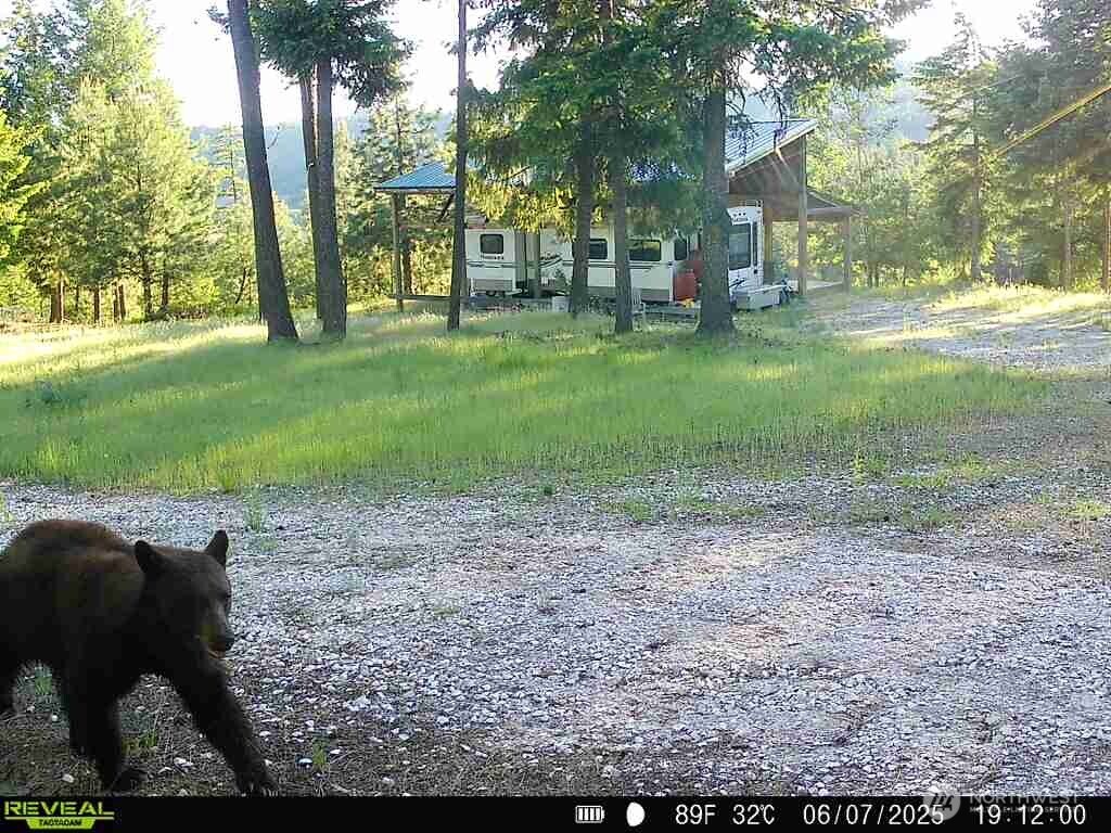 1733 Old CC Road Addy, WA 99101 - Photo 22 of 32 a view of a yard with large trees