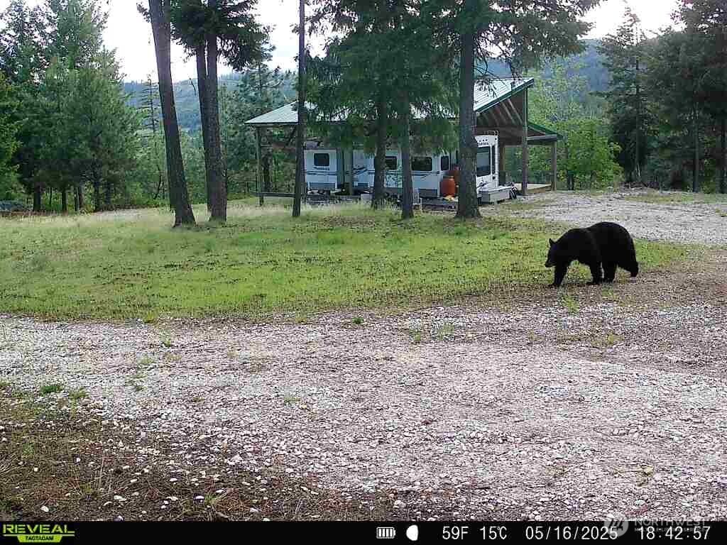 1733 Old CC Road Addy, WA 99101 - Photo 23 of 32 a view of a backyard with large trees