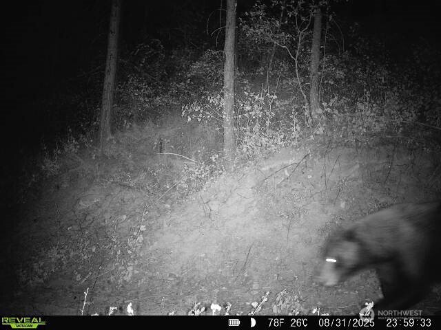 1733 Old CC Road Addy, WA 99101 - Photo 28 of 32 a view of a backyard of the house