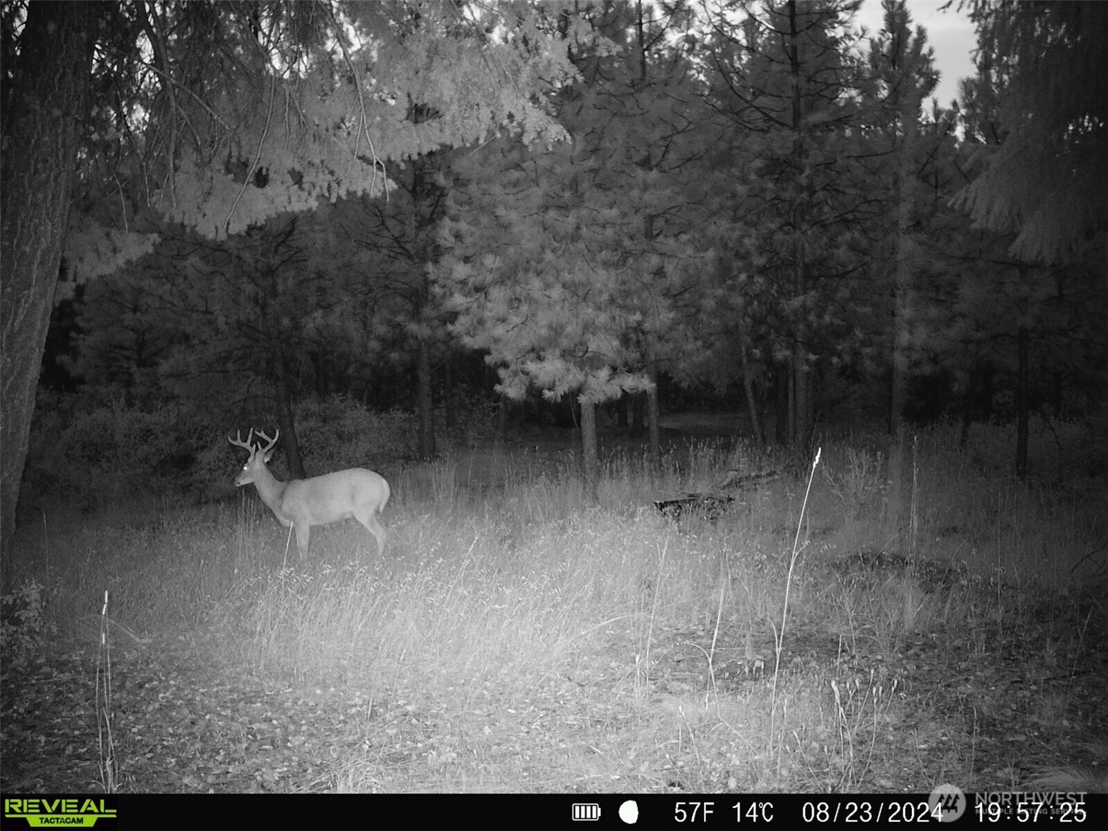 1733 Old CC Road Addy, WA 99101 - Photo 29 of 38