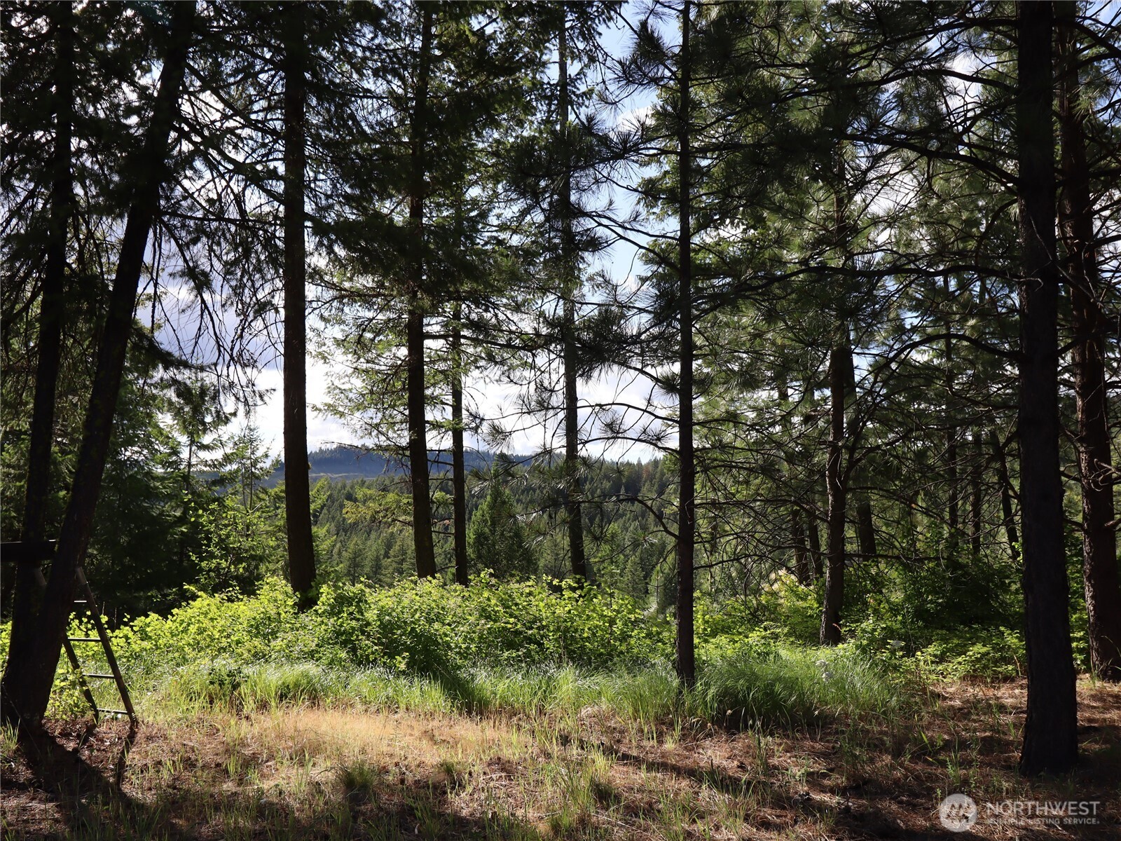 1733 Old CC Road Addy, WA 99101 - Photo 31 of 38 a view of lake with green space