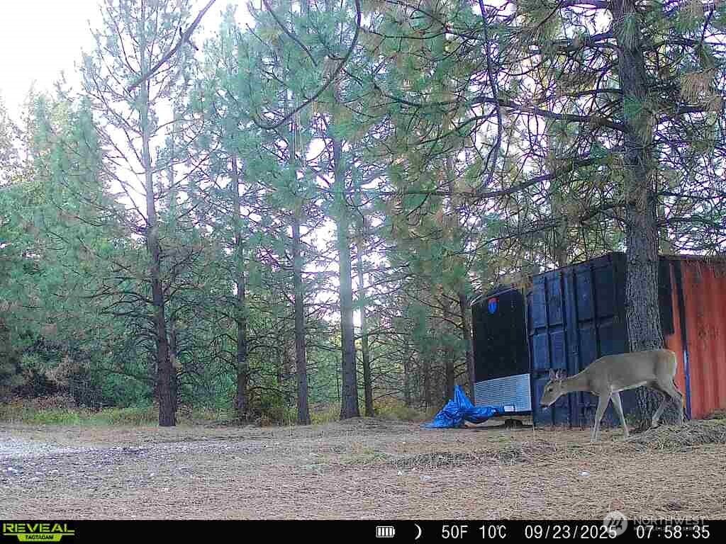 1733 Old CC Road Addy, WA 99101 - Photo 34 of 38